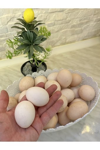 Çiftlik Organik Tavuk Yumurtası 7'li