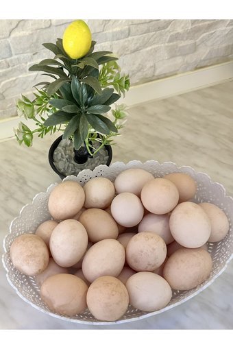 Çiftlik Organik Tavuk Yumurtası 21'li