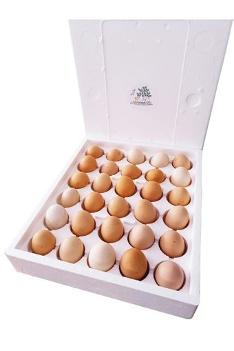 Little Sister's Farm Organik Gezen Tavuk Yumurtası 30'lu