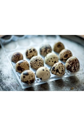 Eldivandan Organik Bıldırcın Yumurtası 12'li