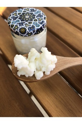 Kadamorganik Yaş Kefir Mayası 25 gr
