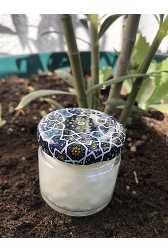 Kadamorganik Yaş Kefir Mayası 25 gr