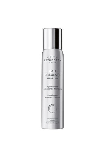Instıtut Esthederm Parlak Makyaj Sabitleyici 200 ml
