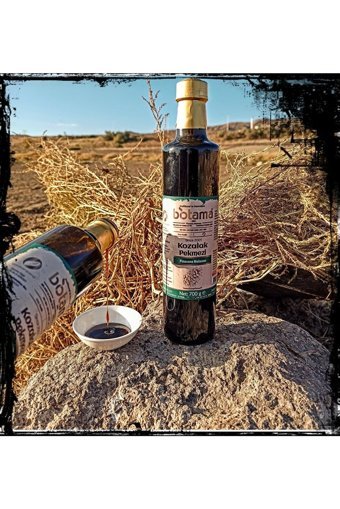 Biotama Çam Pekmezi 700 gr