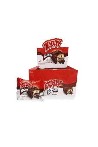 Elvan Aloha Çikolatalı Kek 24x35 gr