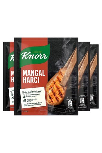 Knorr Et Çeşnisi 4x37 gr