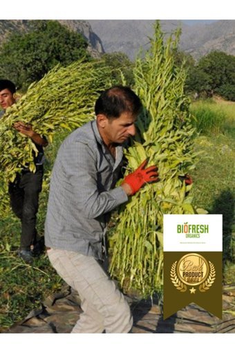 Biofresh Organics Tahin 660 gr