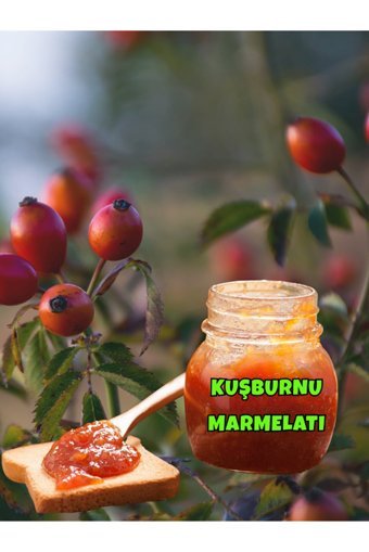 Atomex Kuşburnu Marmelatı 500 gr