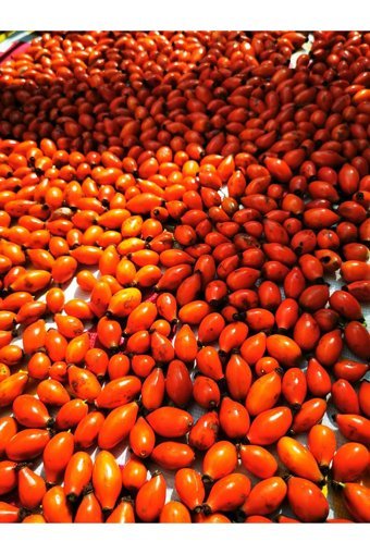 Ladin Kuşburnu Marmelatı 500 gr