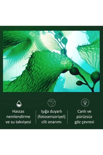 Jomtam Seaweed Kolajenli Göz Altı Jel Maske 60 Adet