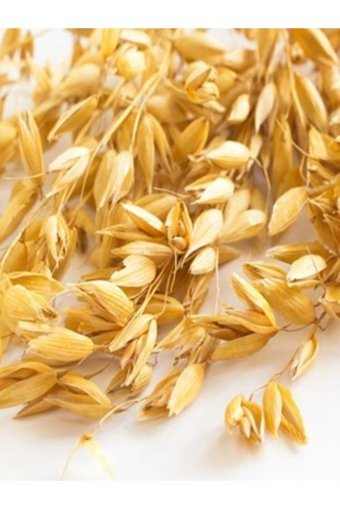 Avena Yulaf Ezmesi 5 kg