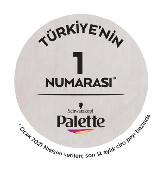 Palette 6.68 Karamel Kahve Krem Saç Boyası