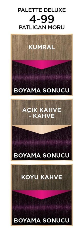 Palette 4.99 Ametist Moru Krem Saç Boyası