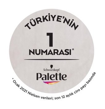 Palette 4.99 Ametist Moru Krem Saç Boyası