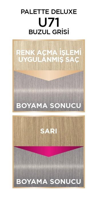 Palette Elmas Grisi Krem Saç Boyası