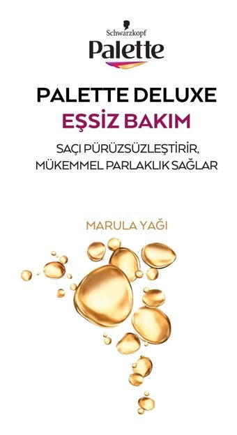 Palette Elmas Grisi Krem Saç Boyası