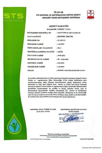 Boztepe Erken Hasat Teneke Sızma Zeytinyağı 5 lt