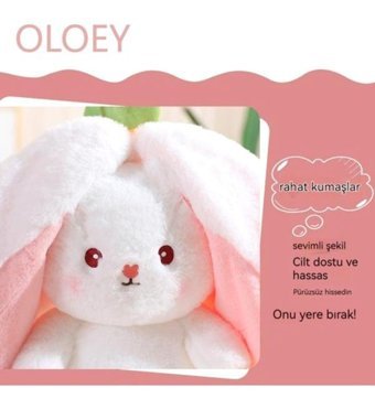 Worryfreeshopping Sevimli Dönüşüm Meyve Tavşan 35 cm Peluş Oyuncak