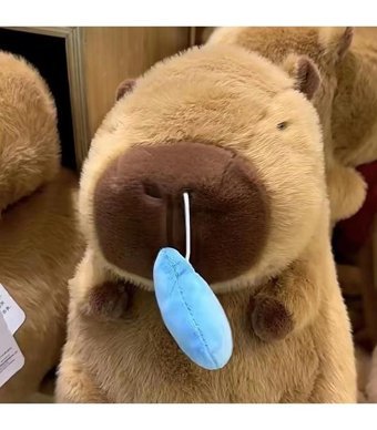 Summer Love Sümük Bebek Su Kobay Bebek Peluş Oyuncak