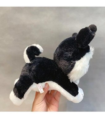 Jzcat Siyah Sinley Yumuşak 23 cm Peluş Oyuncak