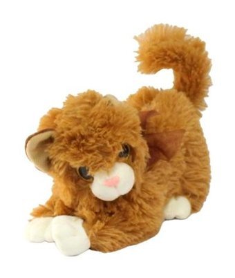 Yk Store Miyavlayan Sesli Kedi Sarı İri Gözlü 25 cm Peluş Oyuncak