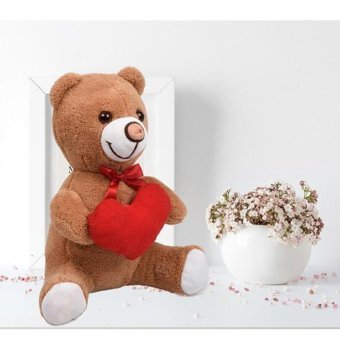 Sole Beyaz Sevdiklerinize Özel Kalp Tutan. Şirin Peluş Ayıcık 30 cm