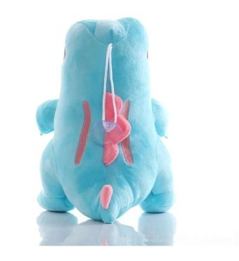 Takara Tomy Totodile Orjinal Pokemon 23 cm Peluş Oyuncak