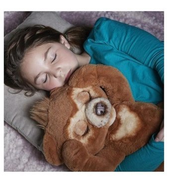 Alibee Ascii ZaoXMeraklı Ayı 25 cm Peluş Oyuncak