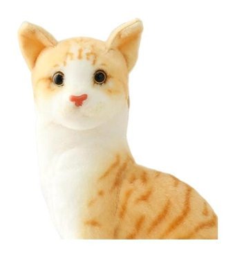 Magideal Suntek Güzel Doldurulmuş Kedi Peluş Oyuncak