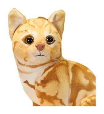 Magideal Suntek Güzel Kedi Bebek Peluş Oyuncak