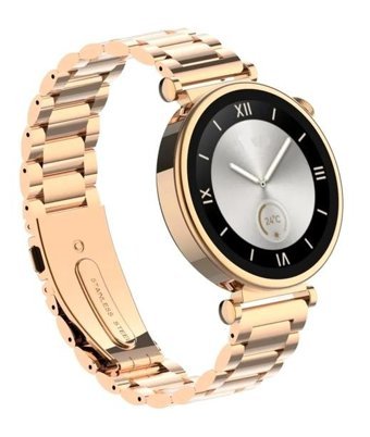Schitec RW-43 Akıllı Saat Gold