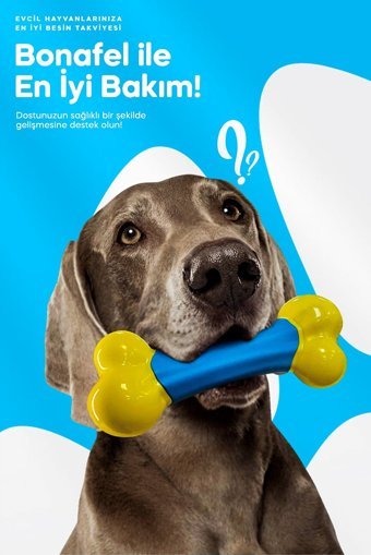 Bonafel 100 gr 50 Tablet Köpek Vitamini
