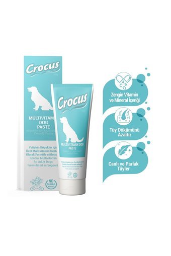 Crocus C Vitaminli Hamile Köpekler İçin Tüy Sağlığı İçin 100 gr 1 Adet Krem Köpek Vitamini