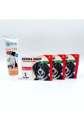 Ans 185 gr 4 Adet Macun Köpek Vitamini