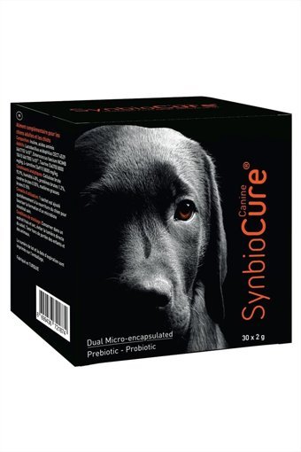 Synbiocure 10x2 gr 10 Şase Şase Köpek Vitamini