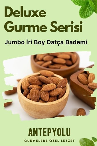 Antepyolu Organik Tane Kavrulmuş Badem İçi 350 gr