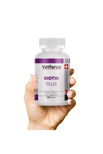 Vetforce Biodent Hexidine Tüy Sağlığı İçin 350 gr 300 Tablet Köpek Vitamini