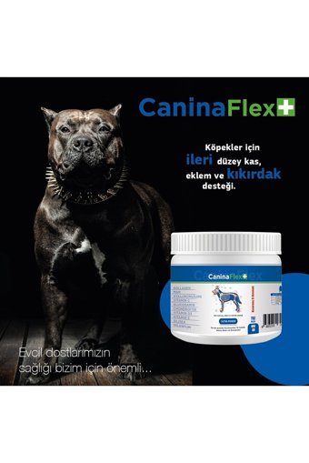 Canina Flex Glucosamine Kemik Eklem Tüy Sağlığı İçin 400 gr 1 Adet Toz Köpek Vitamini
