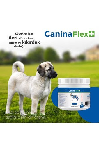 Canina Flex Glucosamine Kemik Eklem Tüy Sağlığı İçin 400 gr 1 Adet Toz Köpek Vitamini