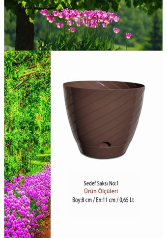 Montesev Sedef Çiçek Saksı
