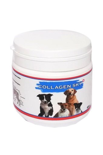 Collagen Sky Kemik Eklem Tüy Sağlığı İçin 400 gr 1 Adet Toz Köpek Vitamini