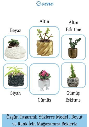 Evene Eskitme Kaktüs Saksı Gümüş