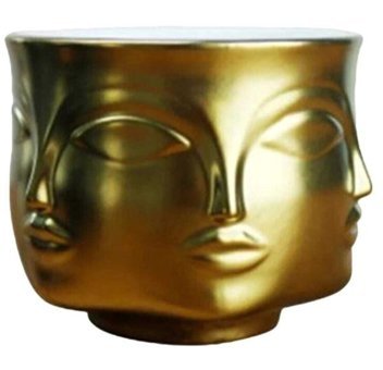 Florada 2 Adet Altın Sarı Gümüş Gri Renk 6'yüzlü Modern Saksı