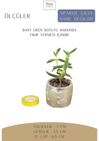 Evene Dekoratif Minik Kaktüs Model Saksı Gümüş