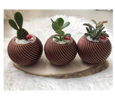 Florada Sukulent Saksı 3 Adet Çiçekli Set Dekoratif Sevimli Saksı Bordo