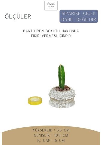 Evene Dekoratif Minik Kaktüs Çiçekli Fiyonklu Model Saksı Gümüş