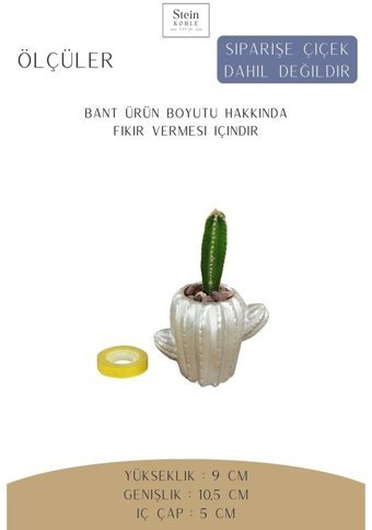 Evene Dekoratif Minik Kaktüs Saksısı Adet Kaktüs Model Saksı Gümüş