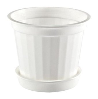 Hiper Tabaklı 480 ml Saksı Beyaz