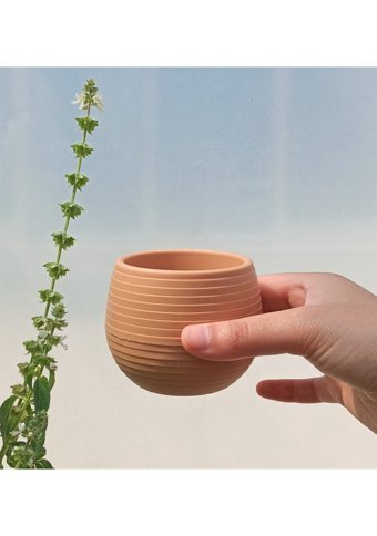 Asenya Kaktüs Saksısı 5 Adet 0.13 lt Somon Somon