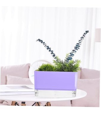 Montesev Happy Vase Akıllı Çiçek Saksı Eflatun